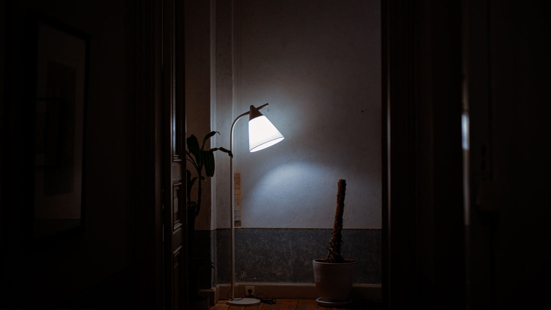 El interruptor nocturno.