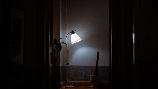 El interruptor nocturno.